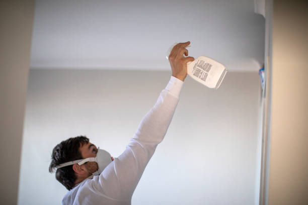 Best Basement Mold Remediation in Danville, VA