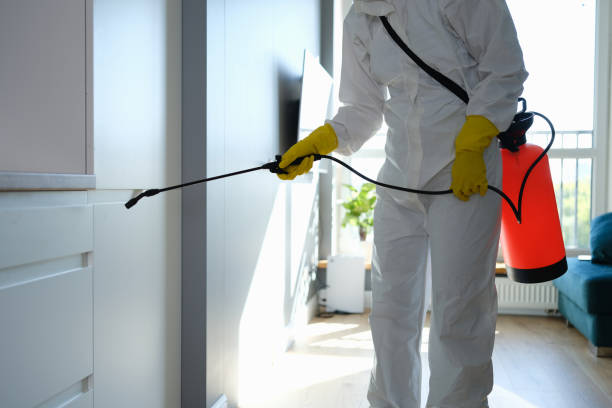 Best Residential Mold Remediation in Danville, VA